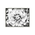 Picture of Black and White Flower _GroupedProduct_Rectangle_Landscape_Photography _GroupedProduct_Rectangle_Landscape_Canvas_Framed_