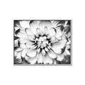 Picture of Black and White Flower _GroupedProduct_Rectangle_Landscape_Photography _GroupedProduct_Rectangle_Landscape_Canvas_Framed_