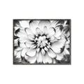 Picture of Black and White Flower _GroupedProduct_Rectangle_Landscape_Photography _GroupedProduct_Rectangle_Landscape_Canvas_Framed_