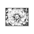 Picture of Black and White Flower _GroupedProduct_Rectangle_Landscape_Photography _GroupedProduct_Rectangle_Landscape_Canvas_Framed_