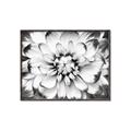 Picture of Black and White Flower _GroupedProduct_Rectangle_Landscape_Photography _GroupedProduct_Rectangle_Landscape_Canvas_Framed_