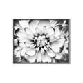 Picture of Black and White Flower _GroupedProduct_Rectangle_Landscape_Photography _GroupedProduct_Rectangle_Landscape_Canvas_Framed_