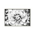 Picture of Black and White Flower _GroupedProduct_Rectangle_Landscape_Photography _GroupedProduct_Rectangle_Landscape_Canvas_Framed_