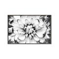 Picture of Black and White Flower _GroupedProduct_Rectangle_Landscape_Photography _GroupedProduct_Rectangle_Landscape_Canvas_Framed_