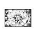 Picture of Black and White Flower _GroupedProduct_Rectangle_Landscape_Photography _GroupedProduct_Rectangle_Landscape_Canvas_Framed_