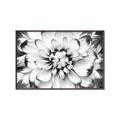 Picture of Black and White Flower _GroupedProduct_Rectangle_Landscape_Photography _GroupedProduct_Rectangle_Landscape_Canvas_Framed_