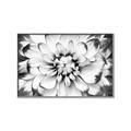 Picture of Black and White Flower _GroupedProduct_Rectangle_Landscape_Photography _GroupedProduct_Rectangle_Landscape_Canvas_Framed_