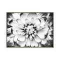 Picture of Black and White Flower _GroupedProduct_Rectangle_Landscape_Photography _GroupedProduct_Rectangle_Landscape_Canvas_Framed_