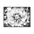Picture of Black and White Flower _GroupedProduct_Rectangle_Landscape_Photography _GroupedProduct_Rectangle_Landscape_Canvas_Framed_
