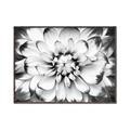 Picture of Black and White Flower _GroupedProduct_Rectangle_Landscape_Photography _GroupedProduct_Rectangle_Landscape_Canvas_Framed_