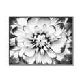 Picture of Black and White Flower _GroupedProduct_Rectangle_Landscape_Photography _GroupedProduct_Rectangle_Landscape_Canvas_Framed_