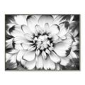 Picture of Black and White Flower _GroupedProduct_Rectangle_Landscape_Photography _GroupedProduct_Rectangle_Landscape_Canvas_Framed_