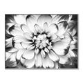 Picture of Black and White Flower _GroupedProduct_Rectangle_Landscape_Photography _GroupedProduct_Rectangle_Landscape_Canvas_Framed_