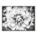 Picture of Black and White Flower _GroupedProduct_Rectangle_Landscape_Photography _GroupedProduct_Rectangle_Landscape_Canvas_Framed_