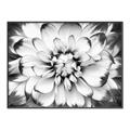 Picture of Black and White Flower _GroupedProduct_Rectangle_Landscape_Photography _GroupedProduct_Rectangle_Landscape_Canvas_Framed_