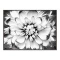 Picture of Black and White Flower _GroupedProduct_Rectangle_Landscape_Photography _GroupedProduct_Rectangle_Landscape_Canvas_Framed_