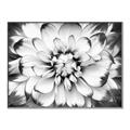 Picture of Black and White Flower _GroupedProduct_Rectangle_Landscape_Photography _GroupedProduct_Rectangle_Landscape_Canvas_Framed_