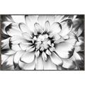 Picture of Black and White Flower _GroupedProduct_Rectangle_Landscape_Photography _GroupedProduct_Rectangle_Landscape_Canvas_Framed_