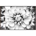 Picture of Black and White Flower _GroupedProduct_Rectangle_Landscape_Photography _GroupedProduct_Rectangle_Landscape_Canvas_Framed_