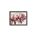 Picture of Flower isolated _GroupedProduct_Rectangle_Landscape_Photography _GroupedProduct_Rectangle_Landscape_Canvas_Framed_