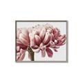 Picture of Flower isolated _GroupedProduct_Rectangle_Landscape_Photography _GroupedProduct_Rectangle_Landscape_Canvas_Framed_