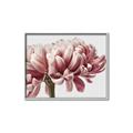 Picture of Flower isolated _GroupedProduct_Rectangle_Landscape_Photography _GroupedProduct_Rectangle_Landscape_Canvas_Framed_