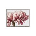 Picture of Flower isolated _GroupedProduct_Rectangle_Landscape_Photography _GroupedProduct_Rectangle_Landscape_Canvas_Framed_