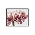 Picture of Flower isolated _GroupedProduct_Rectangle_Landscape_Photography _GroupedProduct_Rectangle_Landscape_Canvas_Framed_
