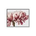 Picture of Flower isolated _GroupedProduct_Rectangle_Landscape_Photography _GroupedProduct_Rectangle_Landscape_Canvas_Framed_