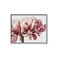 Picture of Flower isolated _GroupedProduct_Rectangle_Landscape_Photography _GroupedProduct_Rectangle_Landscape_Canvas_Framed_