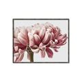 Picture of Flower isolated _GroupedProduct_Rectangle_Landscape_Photography _GroupedProduct_Rectangle_Landscape_Canvas_Framed_
