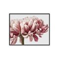 Picture of Flower isolated _GroupedProduct_Rectangle_Landscape_Photography _GroupedProduct_Rectangle_Landscape_Canvas_Framed_