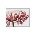 Picture of Flower isolated _GroupedProduct_Rectangle_Landscape_Photography _GroupedProduct_Rectangle_Landscape_Canvas_Framed_