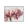 Picture of Flower isolated _GroupedProduct_Rectangle_Landscape_Photography _GroupedProduct_Rectangle_Landscape_Canvas_Framed_