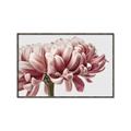 Picture of Flower isolated _GroupedProduct_Rectangle_Landscape_Photography _GroupedProduct_Rectangle_Landscape_Canvas_Framed_