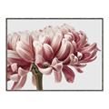 Picture of Flower isolated _GroupedProduct_Rectangle_Landscape_Photography _GroupedProduct_Rectangle_Landscape_Canvas_Framed_