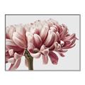 Picture of Flower isolated _GroupedProduct_Rectangle_Landscape_Photography _GroupedProduct_Rectangle_Landscape_Canvas_Framed_