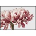 Picture of Flower isolated _GroupedProduct_Rectangle_Landscape_Photography _GroupedProduct_Rectangle_Landscape_Canvas_Framed_