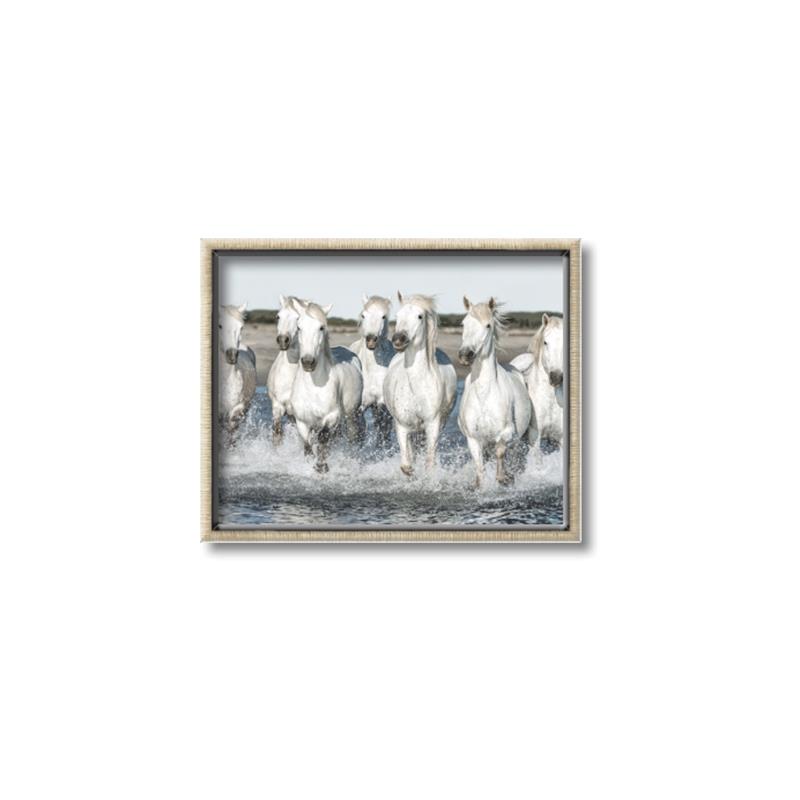 Picture of White Horses _GroupedProduct_Rectangle_Landscape_Photography _GroupedProduct_Rectangle_Landscape_Canvas_Framed_