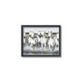 Picture of White Horses _GroupedProduct_Rectangle_Landscape_Photography _GroupedProduct_Rectangle_Landscape_Canvas_Framed_