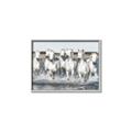 Picture of White Horses _GroupedProduct_Rectangle_Landscape_Photography _GroupedProduct_Rectangle_Landscape_Canvas_Framed_