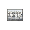 Picture of White Horses _GroupedProduct_Rectangle_Landscape_Photography _GroupedProduct_Rectangle_Landscape_Canvas_Framed_