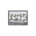 Picture of White Horses _GroupedProduct_Rectangle_Landscape_Photography _GroupedProduct_Rectangle_Landscape_Canvas_Framed_