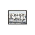 Picture of White Horses _GroupedProduct_Rectangle_Landscape_Photography _GroupedProduct_Rectangle_Landscape_Canvas_Framed_