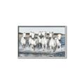 Picture of White Horses _GroupedProduct_Rectangle_Landscape_Photography _GroupedProduct_Rectangle_Landscape_Canvas_Framed_
