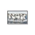 Picture of White Horses _GroupedProduct_Rectangle_Landscape_Photography _GroupedProduct_Rectangle_Landscape_Canvas_Framed_