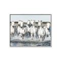 Picture of White Horses _GroupedProduct_Rectangle_Landscape_Photography _GroupedProduct_Rectangle_Landscape_Canvas_Framed_