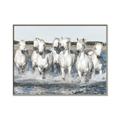 Picture of White Horses _GroupedProduct_Rectangle_Landscape_Photography _GroupedProduct_Rectangle_Landscape_Canvas_Framed_