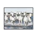 Picture of White Horses _GroupedProduct_Rectangle_Landscape_Photography _GroupedProduct_Rectangle_Landscape_Canvas_Framed_