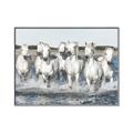 Picture of White Horses _GroupedProduct_Rectangle_Landscape_Photography _GroupedProduct_Rectangle_Landscape_Canvas_Framed_